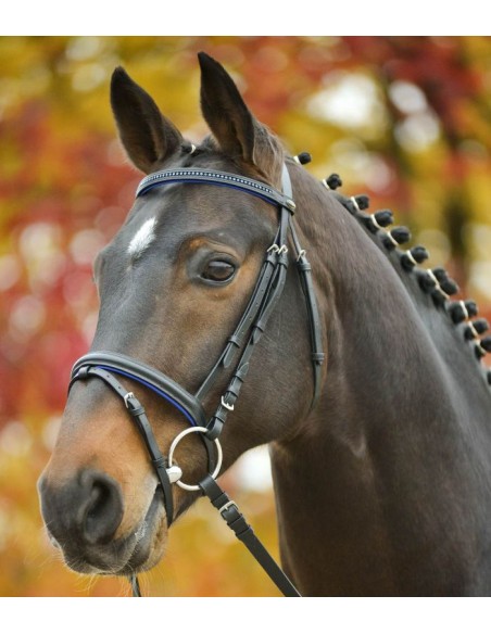 Bridon Diamond Star Waldhausen