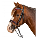 Bridon Pinky STAR Waldhausen