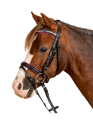 Bridon Pinky STAR Waldhausen