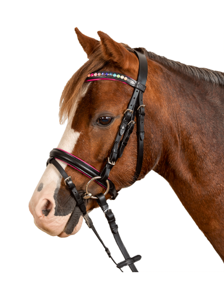 Bridon Pinky STAR Waldhausen