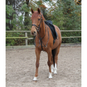 Martingale STAR Waldhausen