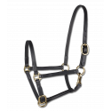 STAR Leder Schauhalfter für Fohlen
