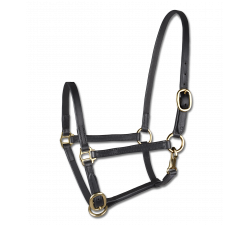 STAR Leder Schauhalfter für Fohlen