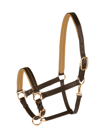 Lederhalfter Diamond STAR Waldhausen