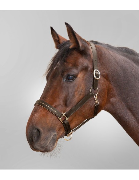 Licol en cuir Diamond STAR Waldhausen