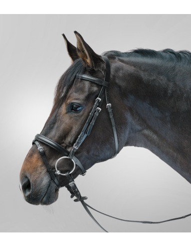 Trense Lifestyle STAR Waldhausen