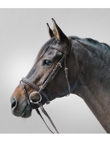 Bridon Lifestyle STAR Waldhausen