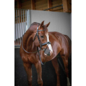 Trense Penelope Daily Vollblut