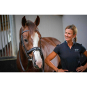 Trense Penelope Daily Vollblut