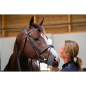 Trense Penelope Daily Vollblut