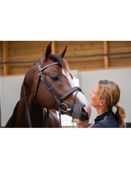 Trense Penelope Daily Vollblut