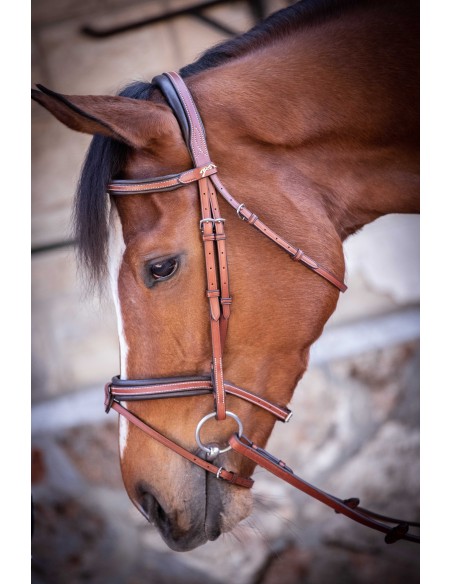 Trense Penelope US Vollblut/Pferd
