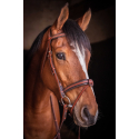 Trense Penelope US Vollblut/Pferd