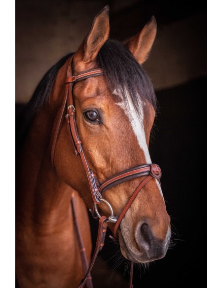 Trense Penelope US Vollblut/Pferd
