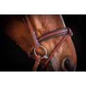 Trense Penelope US Vollblut/Pferd