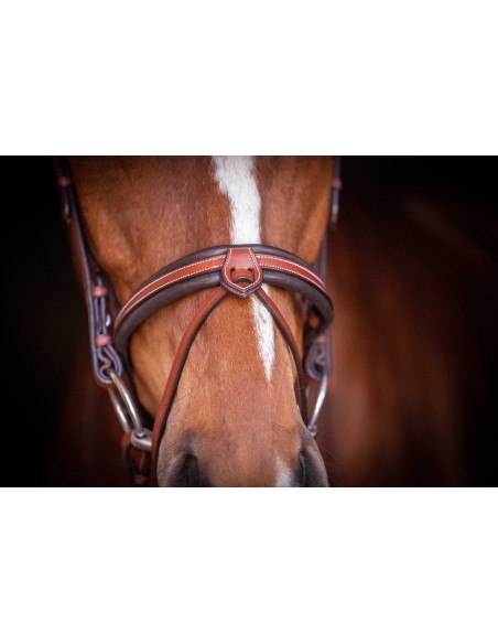 Bridon Penelope US Pur-sang/Cheval