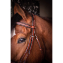 Trense Penelope US Vollblut/Pferd