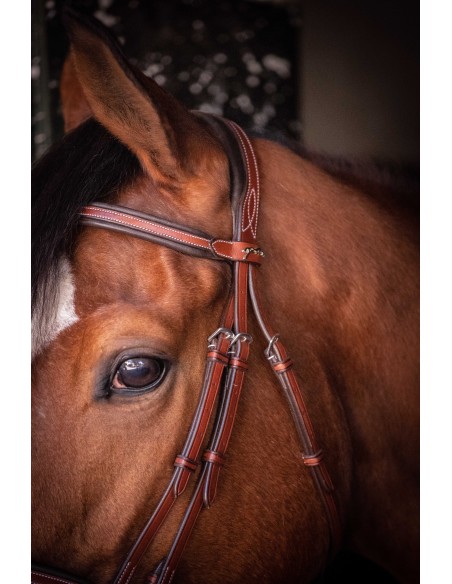 Bridon Penelope US Pur-sang/Cheval