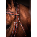 Penelope Bridle US Purasangre/Caballo
