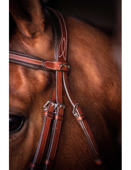 Bridon Penelope US Pur-sang/Cheval