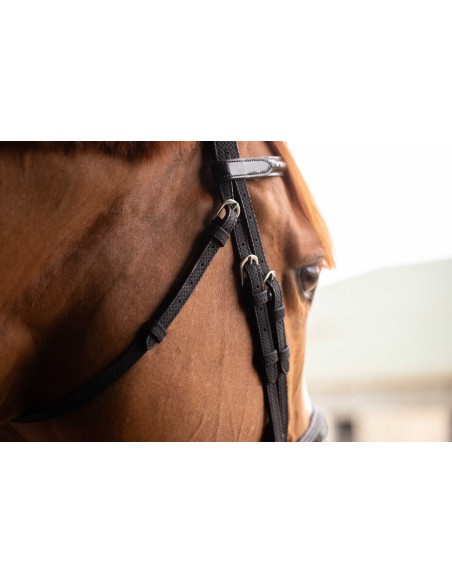 Bridon PENELOPE Oxford