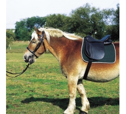 selle-excelsior-pour-cheval-de-trait