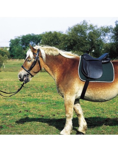 selle-excelsior-pour-cheval-de-trait