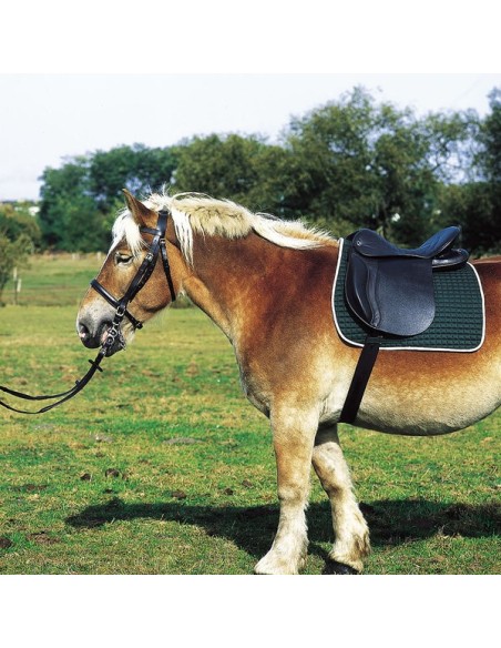 selle-excelsior-pour-cheval-de-trait