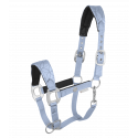 Rom halter Waldhausen