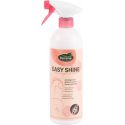 lustrant-easy-shine-de-ravene