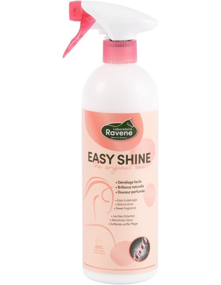 Glanzmittel Easy Shine Ravene