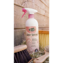 lustrant-easy-shine-de-ravene