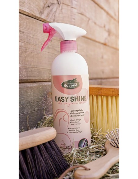 lustrant-easy-shine-de-ravene