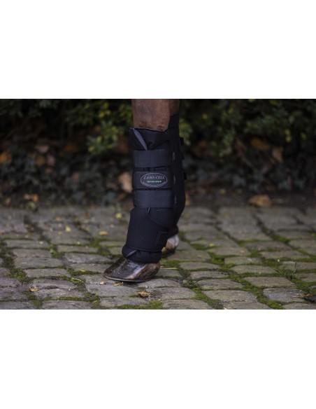 Stable boots LAMI-CELL - Bambus