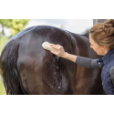 MagicBrush Brosse Nature