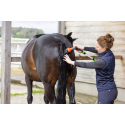MagicBrush Kit de douche saline pour chevaux