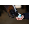 MagicBrush Baume à lèvres pour chevaux Lucky Lips