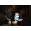 MagicBrush Baume à lèvres pour chevaux Lucky Lips