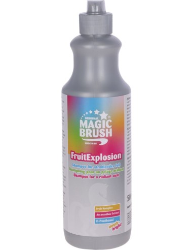 MagicBrush Shampoing
