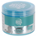 MagicBrush Gel rafraîchissant EquiMint