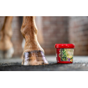 KEVIN BACON'S Hufbalsam - Hoof Dressing The Green