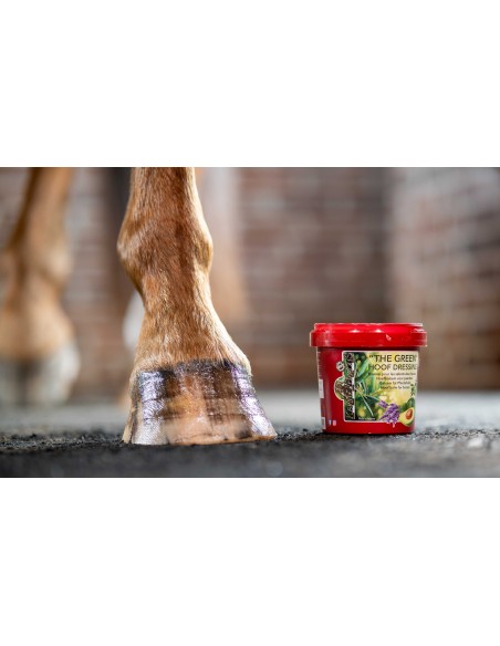 KEVIN BACON'S Hufbalsam - Hoof Dressing The Green