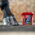 Huffett KEVIN BACON'S - Hoof Dressing Schwarz