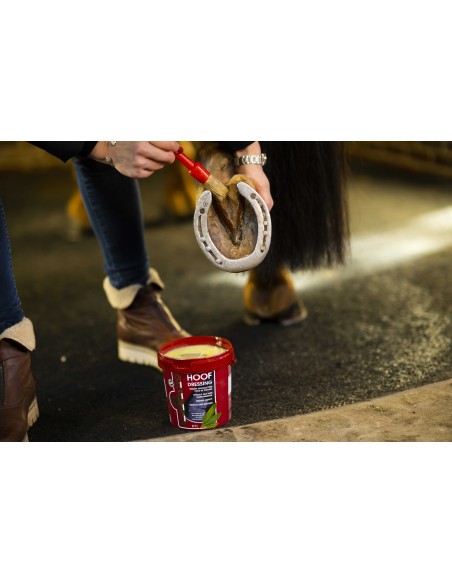KEVIN BACON'S Clogs Fett - Hoof Dressing Original