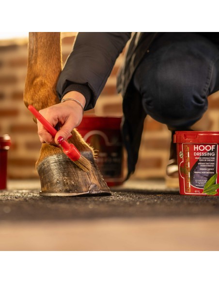 KEVIN BACON'S Clogs Fett - Hoof Dressing Original