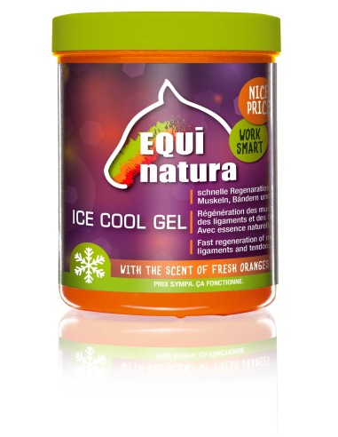 Gel réfrigérant EQUINATURA