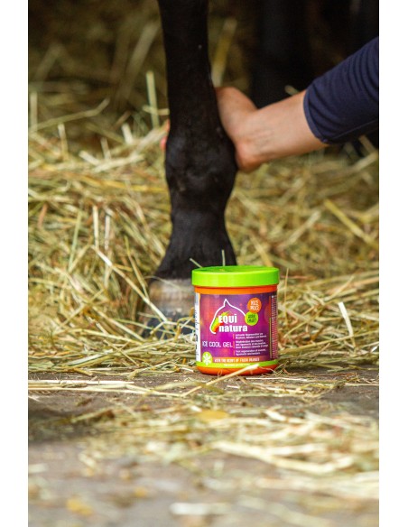 Gel réfrigérant EQUINATURA