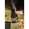 Gel réfrigérant EQUINATURA