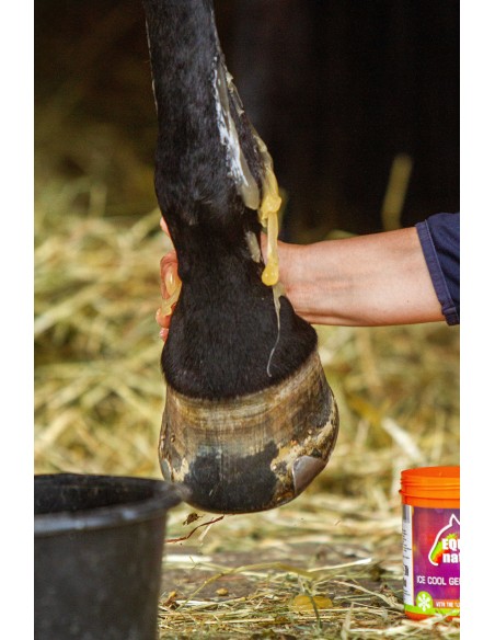 EQUINATURA Kühlgel