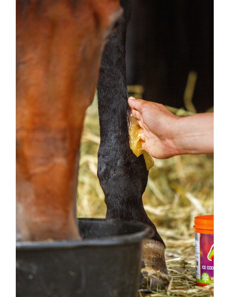 Gel réfrigérant EQUINATURA